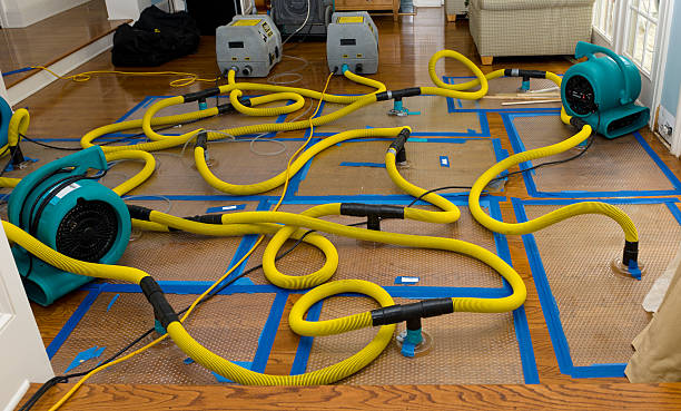 Professional Crawl Space Water Removal technician working in Erwinna, PA